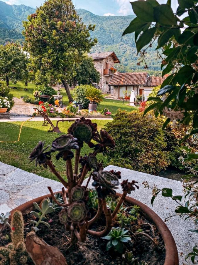 Il Fienile - Lake Como Heritage Home In Molino Maufet Watermill - Lake View Terrace Colico Buitenkant foto